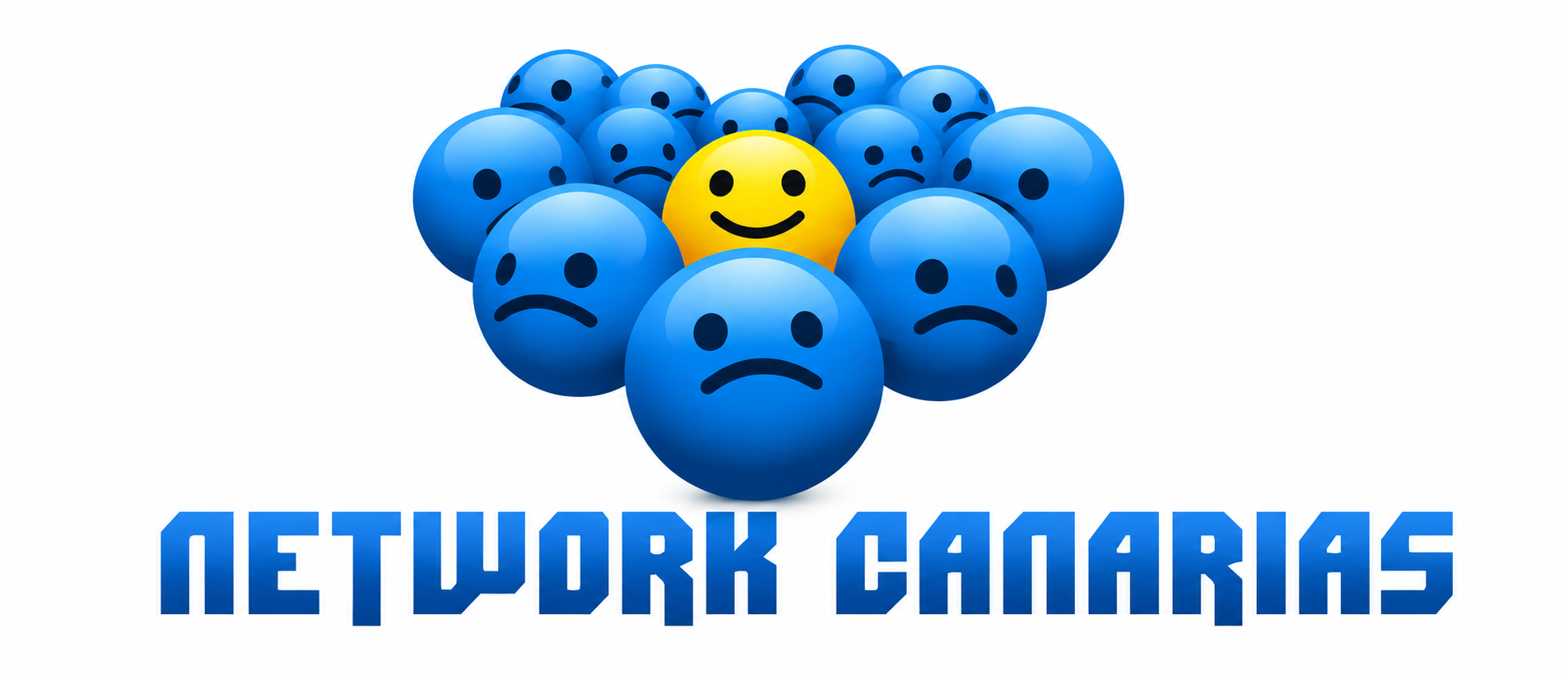 NETWORK CANARIAS